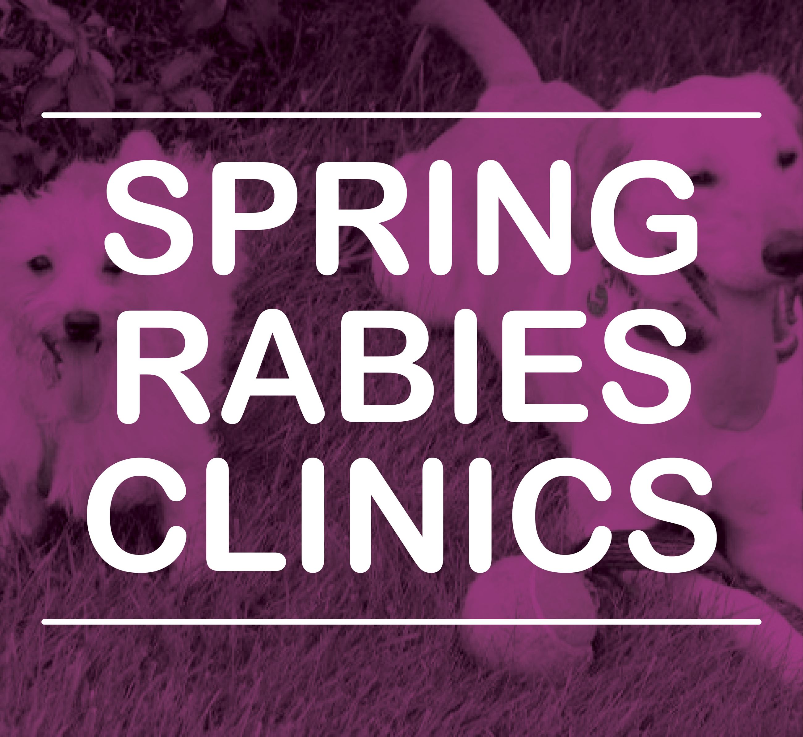 Spring Rabies Clinics