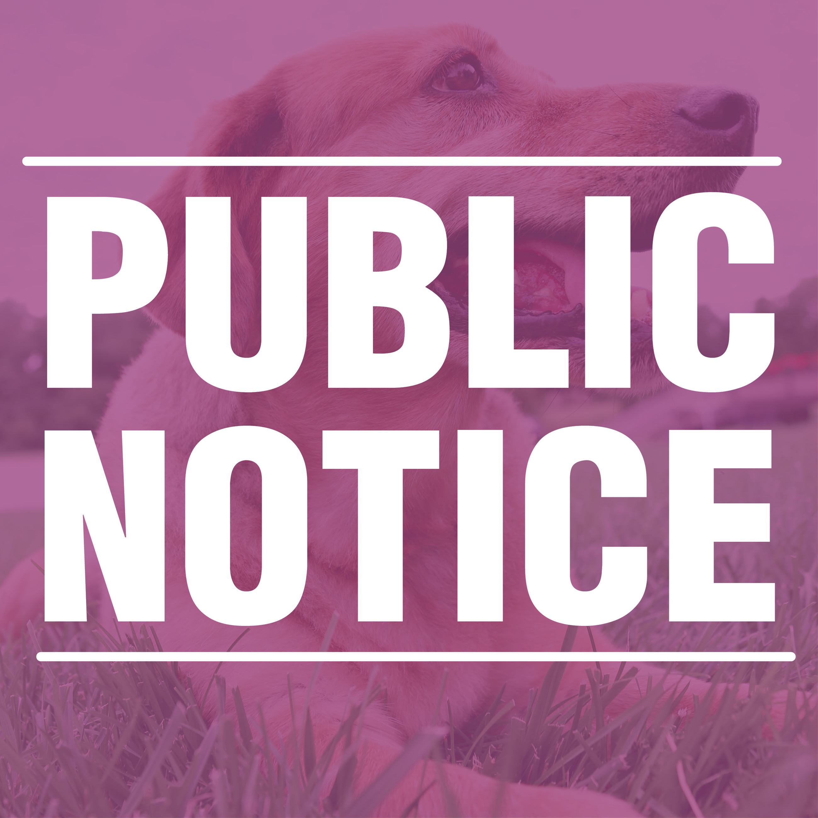Public Notice Animal Shelter